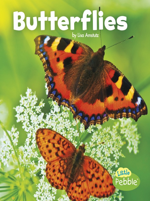 Title details for Butterflies by Lisa J. Amstutz - Available